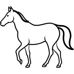 Horse isolated on white, horse vector illustration, animal vector art, horse silhouette, pet vector icon, horses cartoon line art, eps