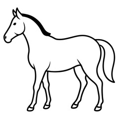 Horse isolated on white, horse vector illustration, animal vector art, horse silhouette, pet vector icon, horses cartoon line art, eps