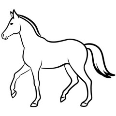 Horse isolated on white, horse vector illustration, animal vector art, horse silhouette, pet vector icon, horses cartoon line art, eps
