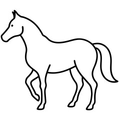 Horse isolated on white, horse vector illustration, animal vector art, horse silhouette, pet vector icon, horses cartoon line art, eps