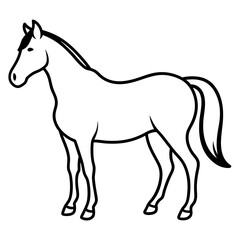 Horse isolated on white, horse vector illustration, animal vector art, horse silhouette, pet vector icon, horses cartoon line art, eps