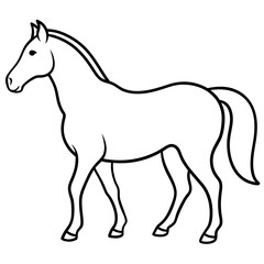 Horse isolated on white, horse vector illustration, animal vector art, horse silhouette, pet vector icon, horses cartoon line art, eps