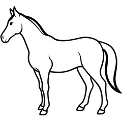 Obraz premium Horse isolated on white, horse vector illustration, animal vector art, horse silhouette, pet vector icon, horses cartoon line art, eps