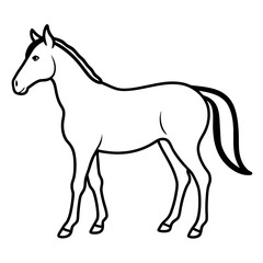 Horse isolated on white, horse vector illustration, animal vector art, horse silhouette, pet vector icon, horses cartoon line art, eps