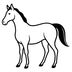 Horse isolated on white, horse vector illustration, animal vector art, horse silhouette, pet vector icon, horses cartoon line art, eps