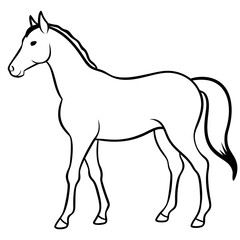 Horse isolated on white, horse vector illustration, animal vector art, horse silhouette, pet vector icon, horses cartoon line art, eps