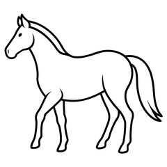 Horse isolated on white, horse vector illustration, animal vector art, horse silhouette, pet vector icon, horses cartoon line art, eps