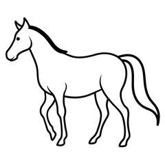 Horse isolated on white, horse vector illustration, animal vector art, horse silhouette, pet vector icon, horses cartoon line art, eps