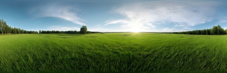 Obraz premium 360 degree large green grass field. HDRI spherical panorama.