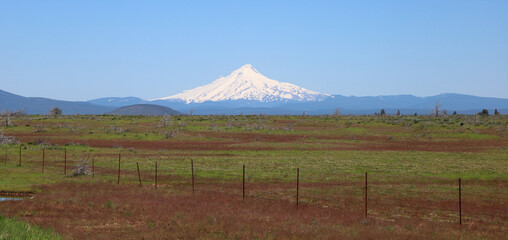 Mt Hood: Panoramic view of part of the cascade range looking west from central Oregon © diak