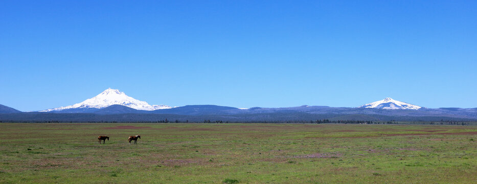 Mt Jefferson: Panoramic view of part of the cascade range from central Oregon