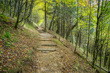 Appalachian Trail in Autumn
