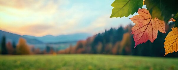 Obraz premium A vibrant autumn landscape showcasing colorful leaves against a serene background of mountains and fields at sunset.