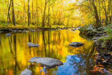 Autumn colors reflected in stream