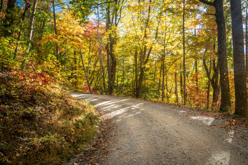 Appalachian Road in the Fall