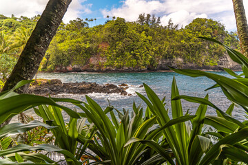 Hawaii Tropical Botanical Garden Big Island Hawaii, tropical bioreserve and garden.