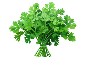 Fresh green parsley rendered in a retro and colorful style.
