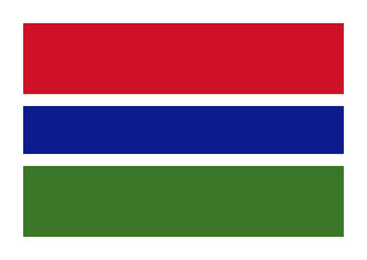 Flag of the Gambia