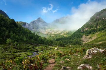 View of the Malaya Dukka River against the backdrop of the mountains of the North Caucasus on a sunny summer day, Arkhyz, Karachay-Cherkessia, Russia © Ula Ulachka