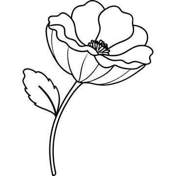 recommend clip art: Poppy flowers in continuous line art drawing style, Black vector art