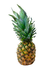 Ananas na białym tle, owoc świeży © markstudio2008
