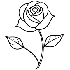Obraz premium Rose sketches in line artwork, black vector artwork