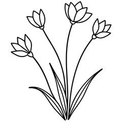 Hand drawn flower single doodle element for coloring invitation postcard Black and white vector artwork