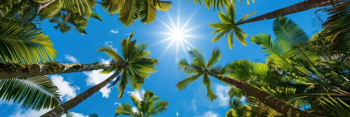 Palm Trees Against Sunny Sky
