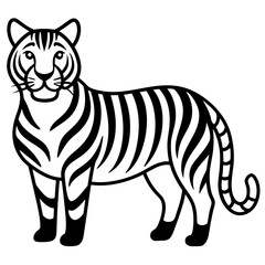 Tiger isolated on white,  Tiger vector illustration,  animal vector art,  Tiger silhouette,  pet vector icon,  lion cartoon line art, eps