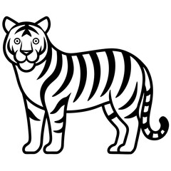 Fototapeta premium Tiger isolated on white, Tiger vector illustration, animal vector art, Tiger silhouette, pet vector icon, lion cartoon line art, eps