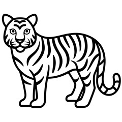 Tiger isolated on white,  Tiger vector illustration,  animal vector art,  Tiger silhouette,  pet vector icon,  lion cartoon line art, eps