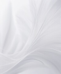 white feather background