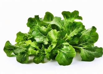 bunch green lete leaves