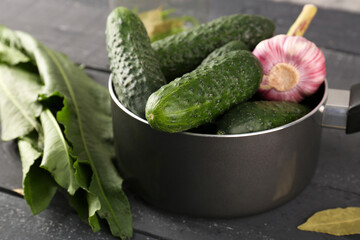 Saucepan with fresh cucumbers for preservation on dark wooden background