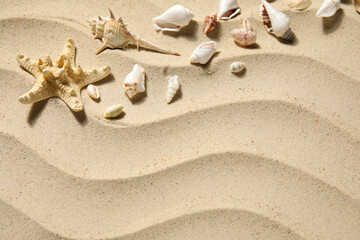 Starfish and seashells on sand