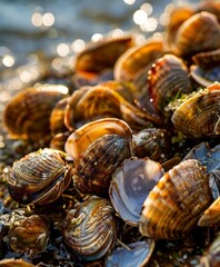 clampor clampor clampor clampor clampor clampor cl