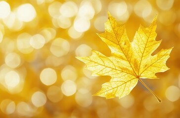 A yellow maple leaf on an autumn background with bokeh lights. 