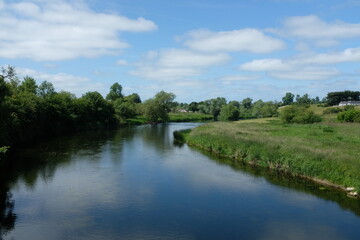 landscape with river in summer