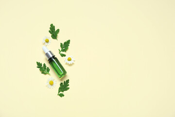 Composition with bottle of essential oil, fresh chamomile flowers and leaves on color background