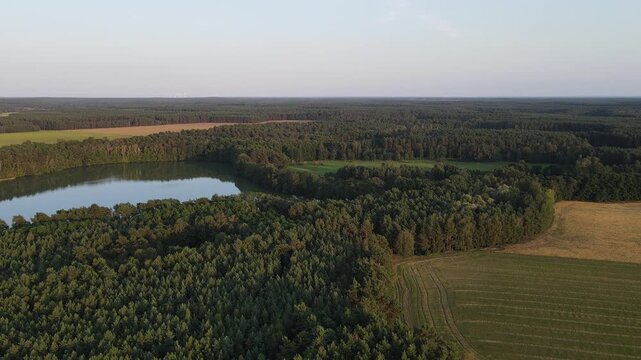 Shot of a serene lake and surrounding forest in Straupitz, Germany, during sunset in summer.