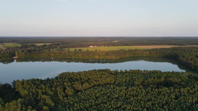 Shot of a serene lake and surrounding forest in Straupitz, Germany.