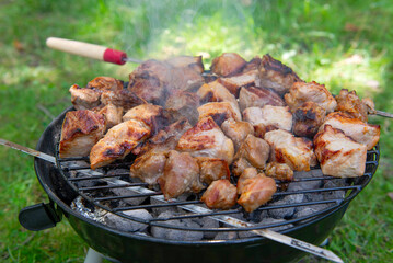 Barbecue time at the nature. Barbecue on the grill in nature. Grilled meat in grill.