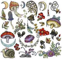 Design graphic set with mystic mushrooms, magic and floral decorative doodle elements, witchcraft symbols isolated on white. Esoteric and witchy cartoon concept, hand drawn colorful clipart