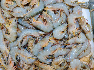 piles of fresh raw shrimp for sale at a traditional market