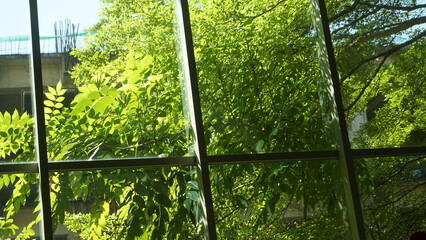 View of trees with green leaves during the day outside the airport building
