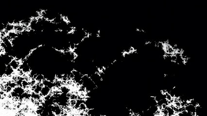 Abstract Organic Web Texture Background in Black and White