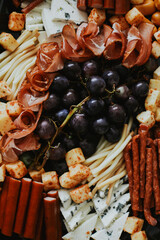 macro shooting of various snacks in the form of meats and cheeses with grape on a black plate 