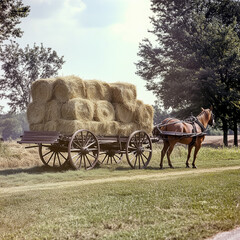 Obraz premium A horse-drawn wagon transporting hay bales on a farm