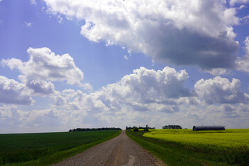 Obraz premium Country road stretching to the horizon with grain fields on either side