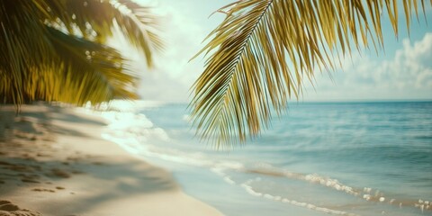 Beach with Palm Tree